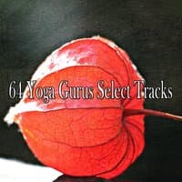 64 Yoga Gurus Select Tracks