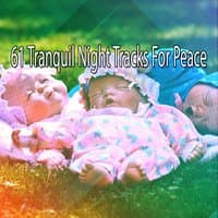 61 Tranquil Night Tracks For Peace