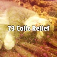 73 Colic Relief