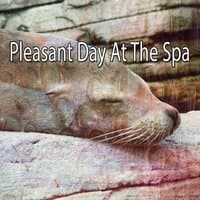 Pleasant Day At The Spa