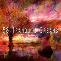 58 Tranquil Dreams