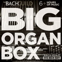 Big Organ Box