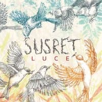 Susret