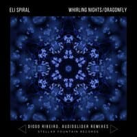 Whirling Nights / Dragonfly