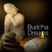 2018 Buddha Dreams - Calming Zen Garden