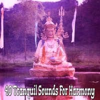 40 Tranquil Sounds For Harmony