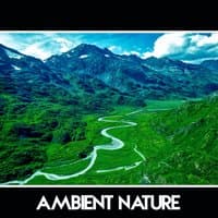 Ambient Nature – Pure Nature Sounds for Meditation, Relaxation and Sleep