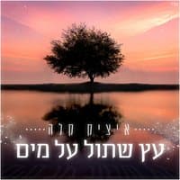 עץ שתול על מים