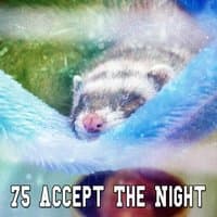 75 Accept The Night