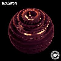 Enigma