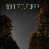 Soulful Sleep