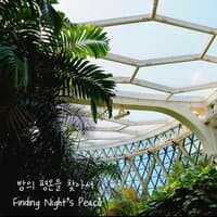 밤의 평온을 찾아서 (Finding Night's Peace)