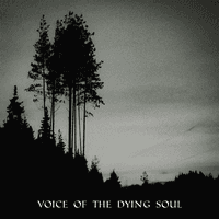 Voice Of The Dying Soul