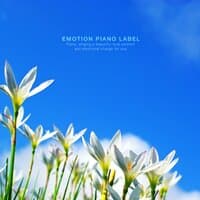 A relaxed piano collection to listen to in the car