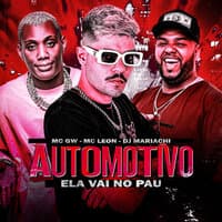 Automotivo Ela Vai no Pau