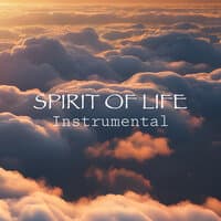 Spirit of Life