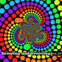 Bumping and Grooving, Vol. 20