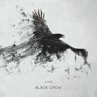 Black Crow