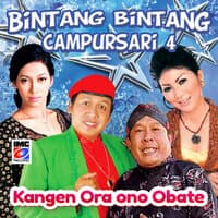 Bintang-Bintang Campursari, Vol. 4