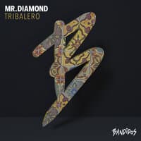 Mr.Diamond