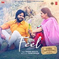 Feel (From "Vadda Kalakaar")