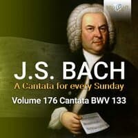 J.S. Bach: Ich freue mich in dir, BWV 133