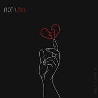 Not Love