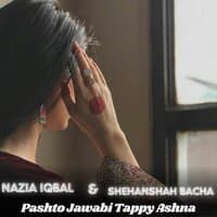 Pashto Jawabi Tappy Ashna