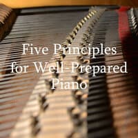 Five Principles for Well-Prepared Piano