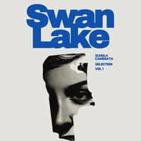 Tchaikovsky Swan Lake Suite Op. 20A - Scene, Moderato