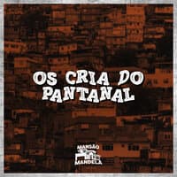 Os Cria do Pantanal