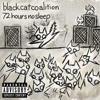 Black Cat Coalition