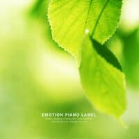 A Collection Of Natural Sensibility Piano Listening To The Day When Nature Misses