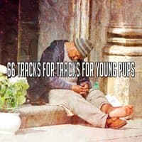 66 Tracks For Tracks For Young Pups