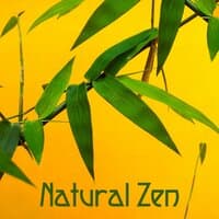 Natural Zen – Meditation Sounds, Deep Healing, Nature Sounds