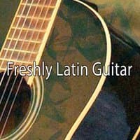 Freshly Latin Guitar