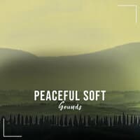 #20 Peaceful Soft Sounds to Calm the Mind