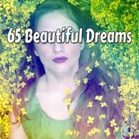 65 Beautiful Dreams