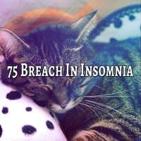 75 Breach in Insomnia