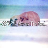 23 Walk Across The Soul