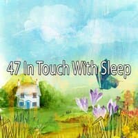 47 In Touch with Sleep