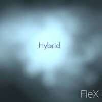 Hybrid