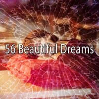 56 Beautiful Dreams