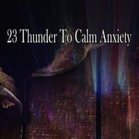 23 Thunder To Calm Anxiety