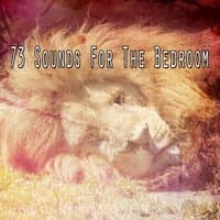 73 Sounds For The Bedroom