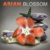 Asian Blossom – Deep Zen Music, Relaxation Meditation,Therapy Relaxation, Japanese Music, Well Being