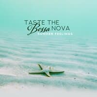 Taste the Bossa Nova: Summer Feelings