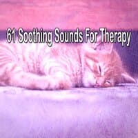 61 Soothing Sounds for Therapy