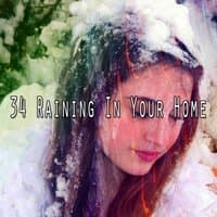 34 Raining in Your Home