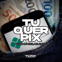 Tu Quer Pix